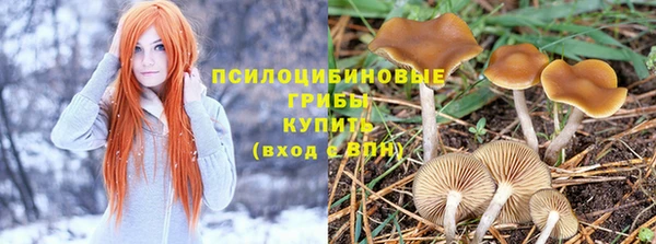 стафф Абаза