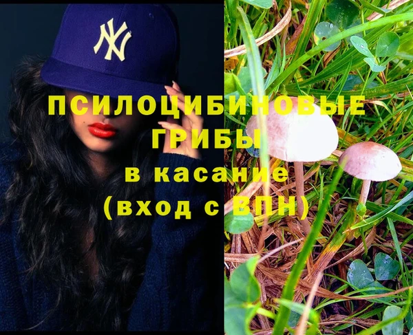 стафф Абаза