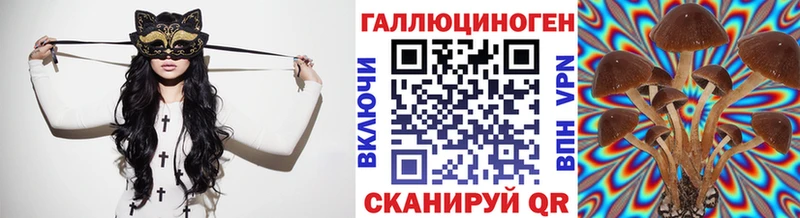 blacksprut ссылки  Сертолово  Псилоцибиновые грибы Cubensis 